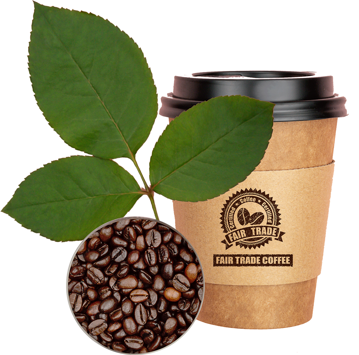 Sustainable office coffee services in Billings & Laurel
